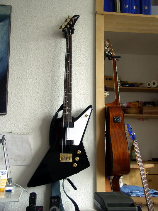 Explorer_Bass.2.jpg