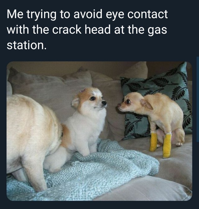 Eye contact.jpg