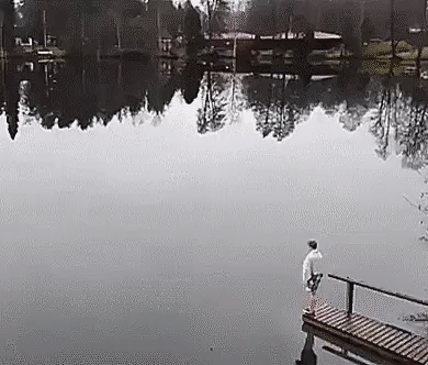 ezgif.com-video-to-gif (1).gif