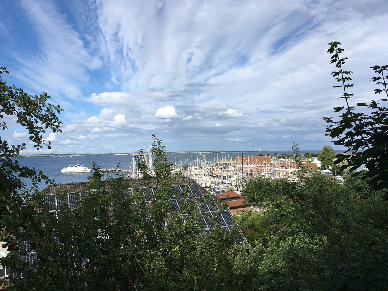 FA344BF6-B71C-4334-8688-ADDAA7646ECF.jpeg