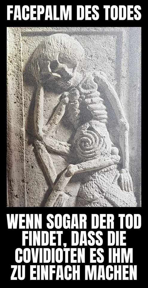 Facepalm des Todes.webp