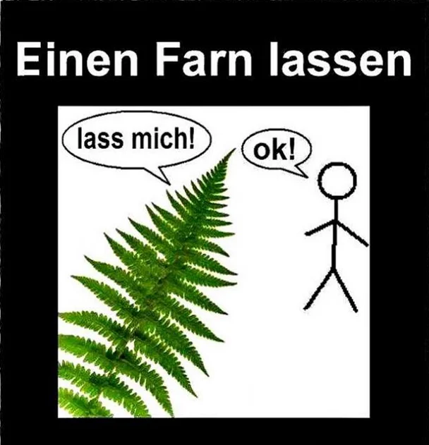 Fahrn lassen.webp