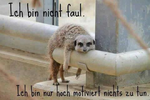 Faul.jpg