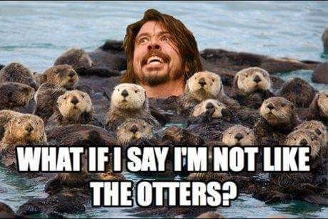 FB_IMG_1536993815864.jpg