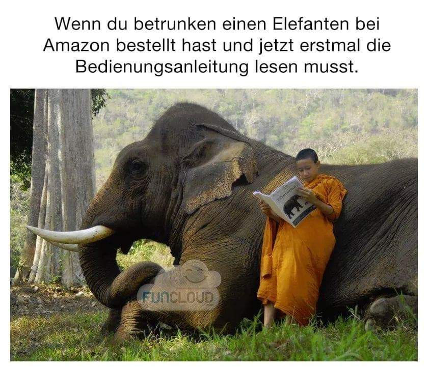 FB_IMG_1552575467290.jpg