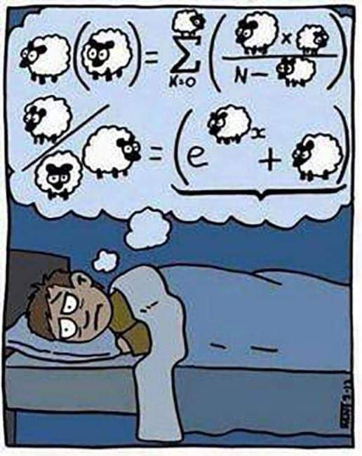 FB_IMG_1562177402135.jpg