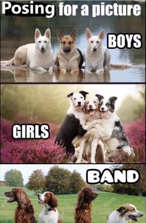 FB_IMG_1564167841891.jpg
