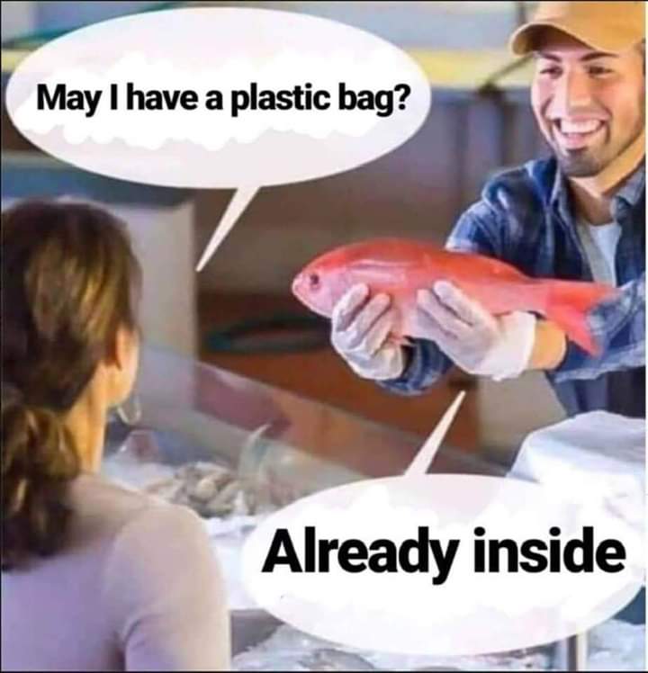 FB_IMG_1575465521070.jpg
