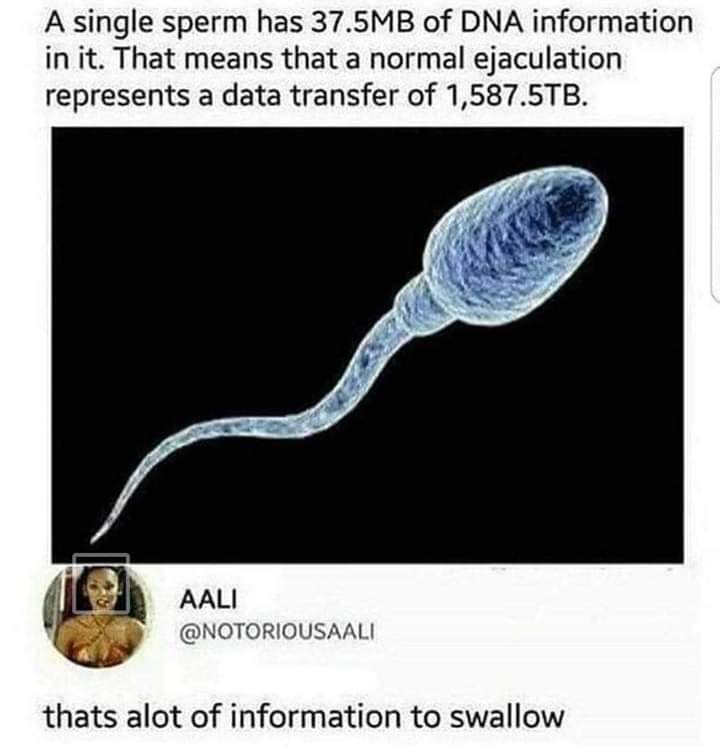 FB_IMG_1581264306619.jpg