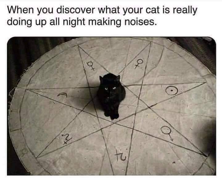 FB_IMG_1582091194590.jpg