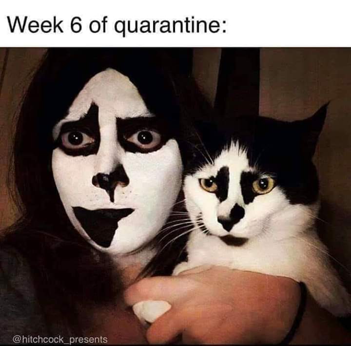 FB_IMG_1585264887328.jpg
