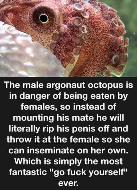 FB_IMG_1586646863492.jpg