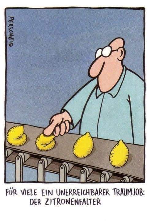 FB_IMG_1590139123889.jpg