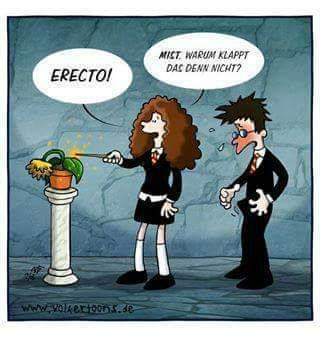 FB_IMG_1590329456260.jpg