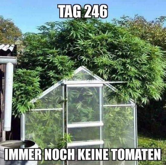 FB_IMG_1593340350335.jpg