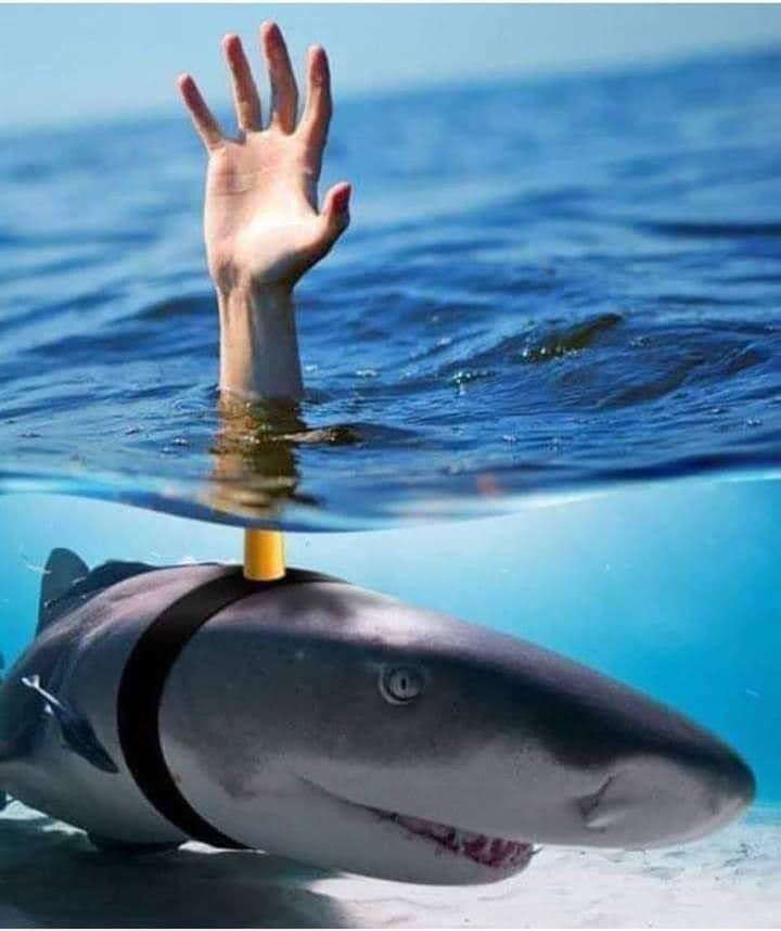 FB_IMG_1598870380113.jpg