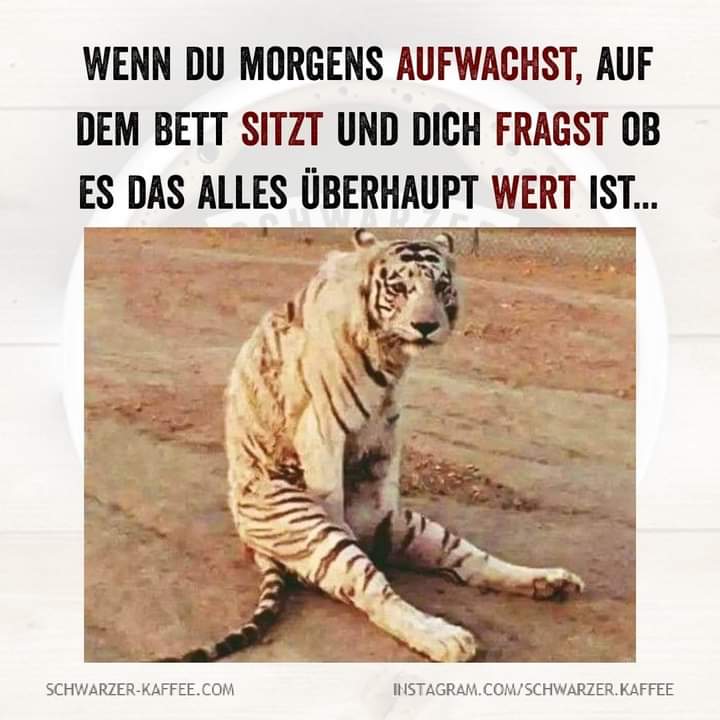 FB_IMG_1600368826099.jpg