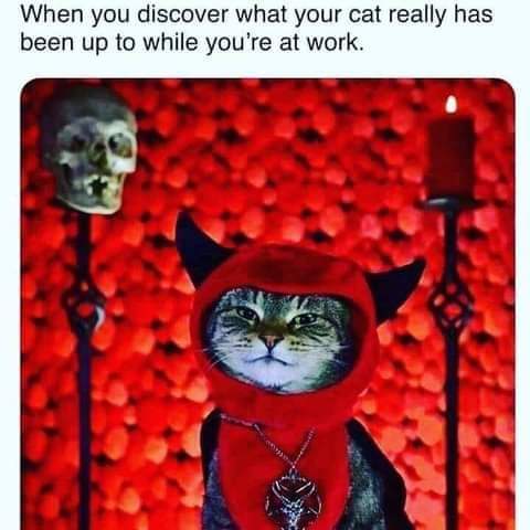 FB_IMG_1600368859345.jpg