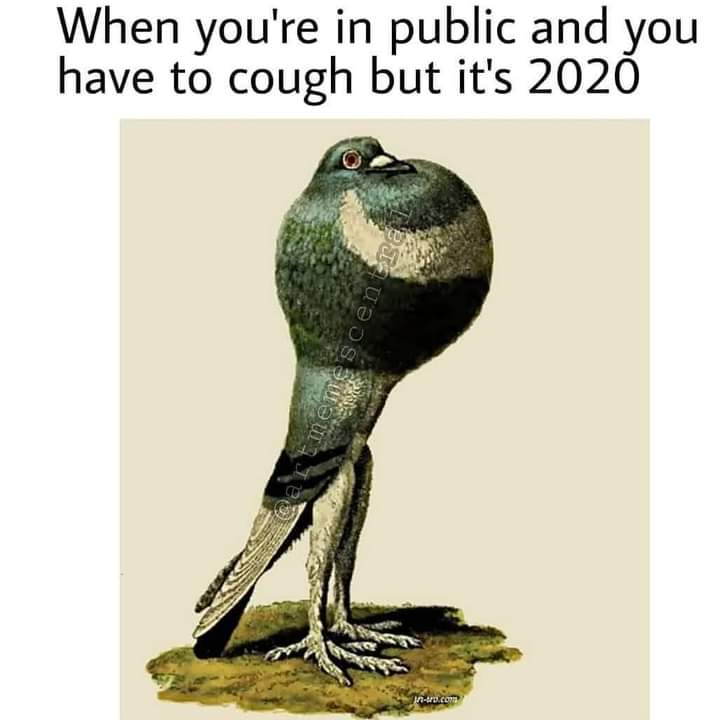 FB_IMG_1600503309057.jpg