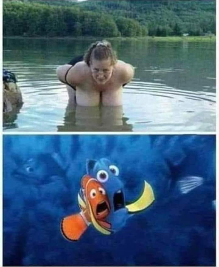 FB_IMG_1600924918101.jpg