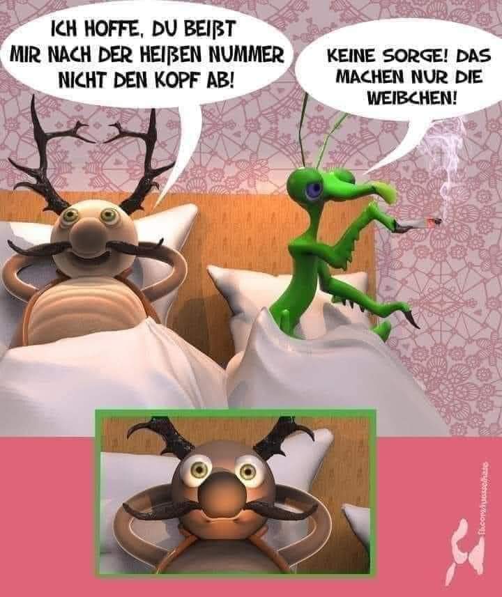 FB_IMG_1608317800929.jpg