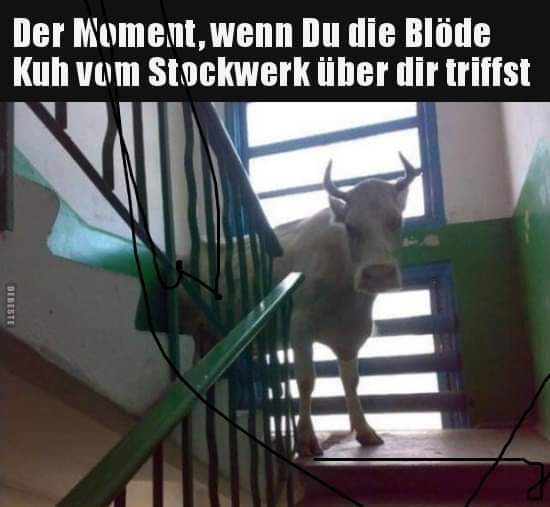 FB_IMG_1610209086894.jpg