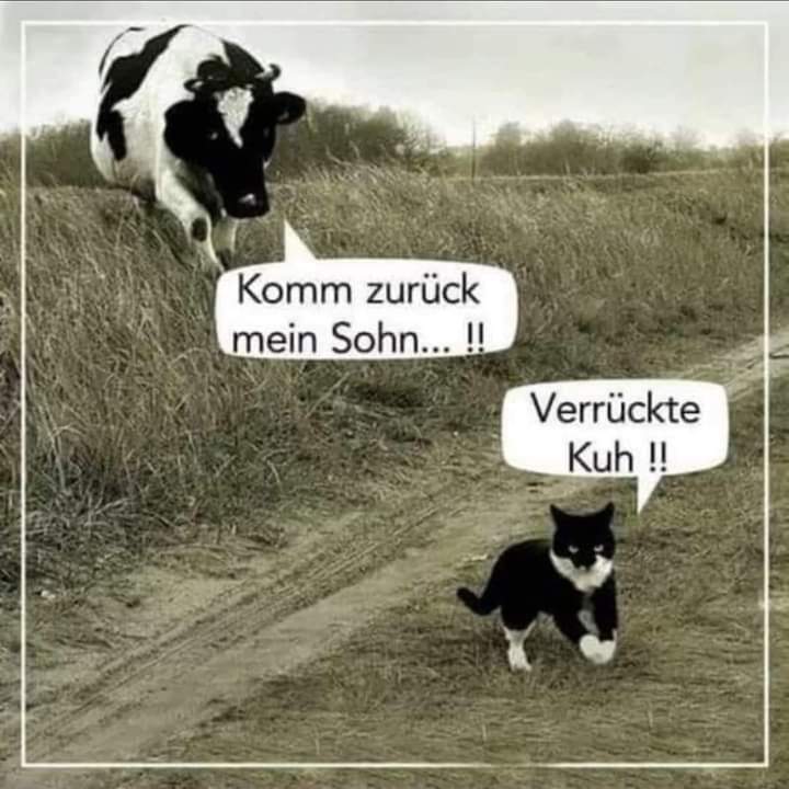 FB_IMG_1610390894645.jpg