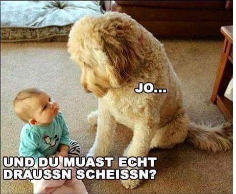 FB_IMG_1611209035977.jpg