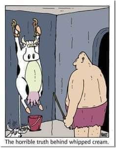 FB_IMG_1611254921616.jpg