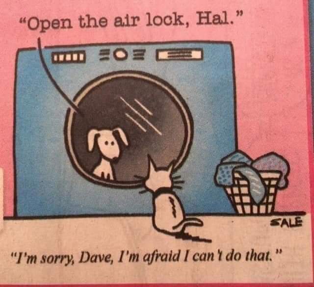 FB_IMG_1611555013338.jpg