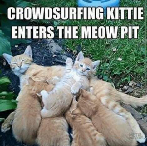 FB_IMG_1611555020717.jpg