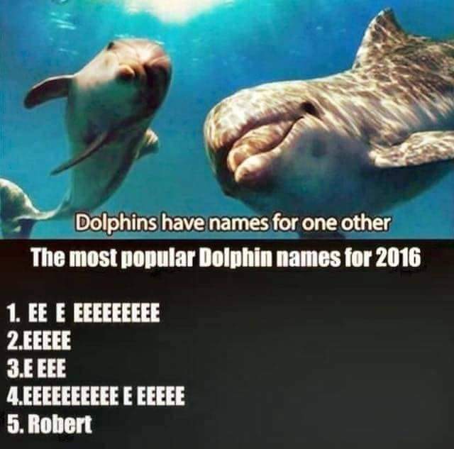 FB_IMG_1611952574996.jpg
