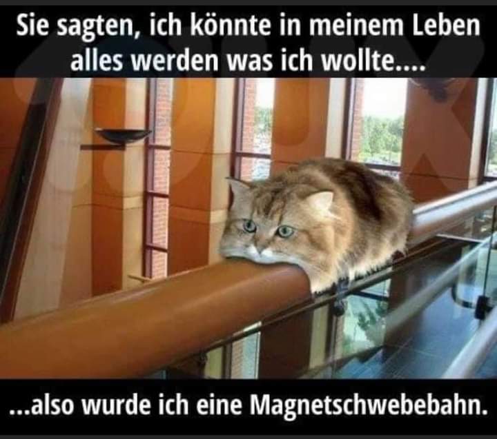 FB_IMG_1613079364456.jpg