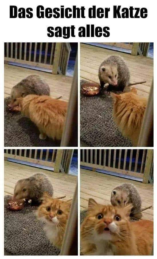 FB_IMG_1613583112198.jpg