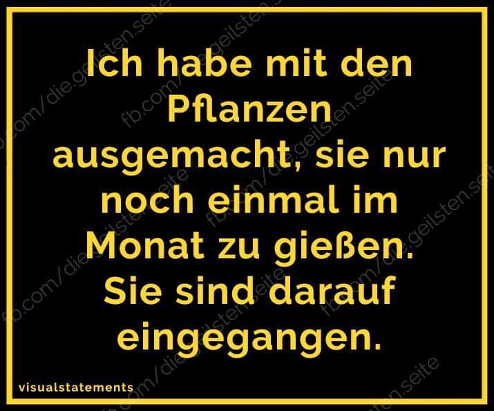 FB_IMG_1613934669566.jpg