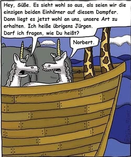 FB_IMG_1614326307424.jpg
