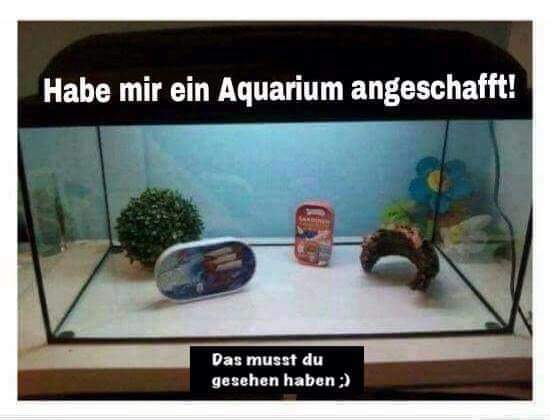 FB_IMG_1614326466798.jpg