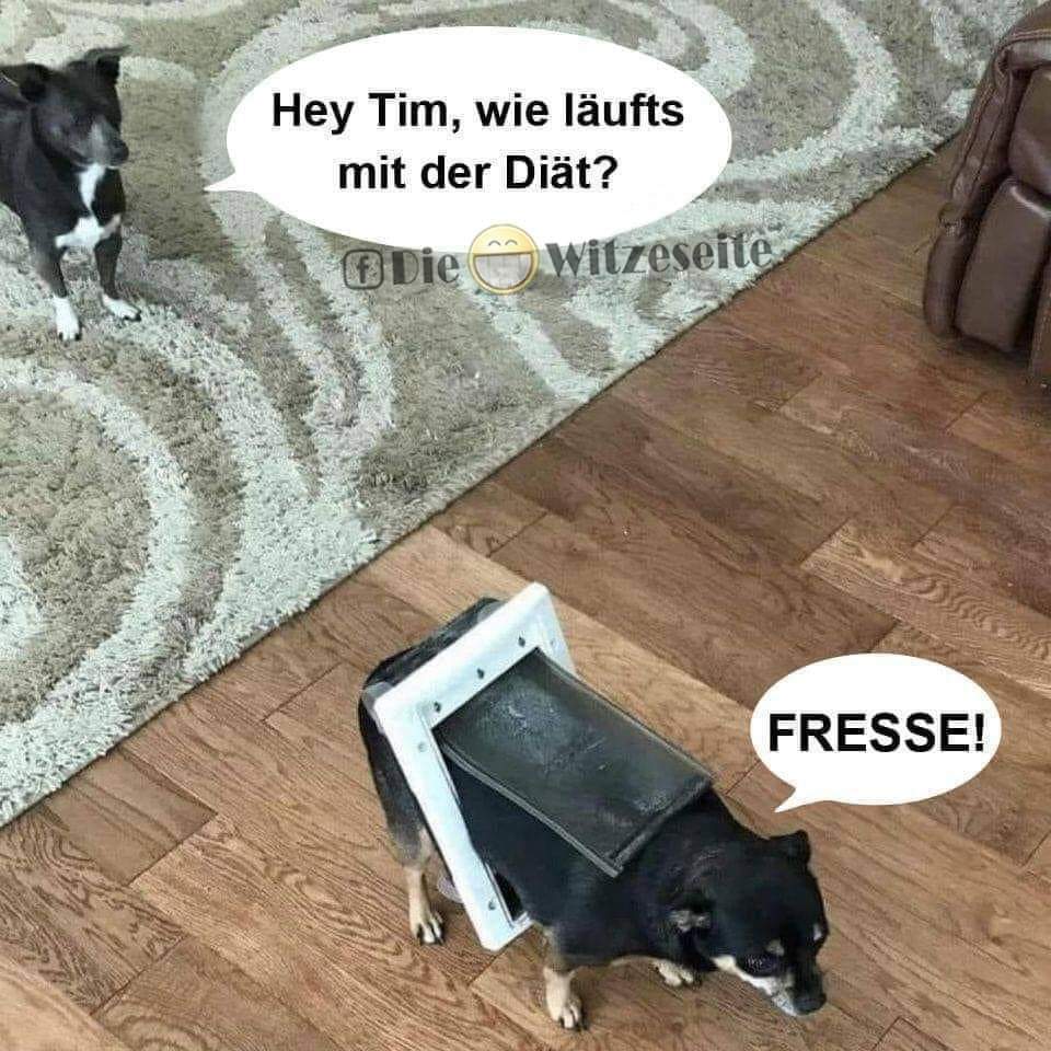 FB_IMG_1614839076534.jpg