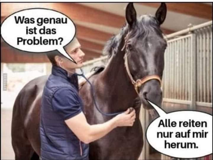 FB_IMG_1615818936436.jpg