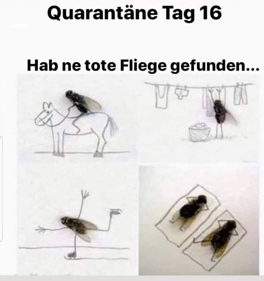 FB_IMG_1617696253983.jpg