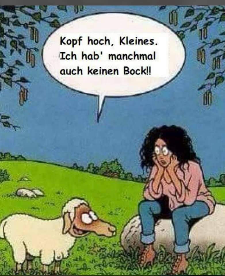FB_IMG_1620489994220.jpg