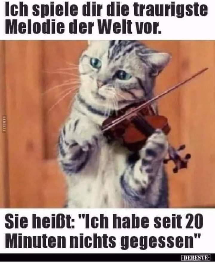FB_IMG_1624477253892.jpg