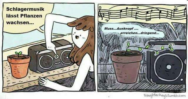 FB_IMG_1624477335094.jpg