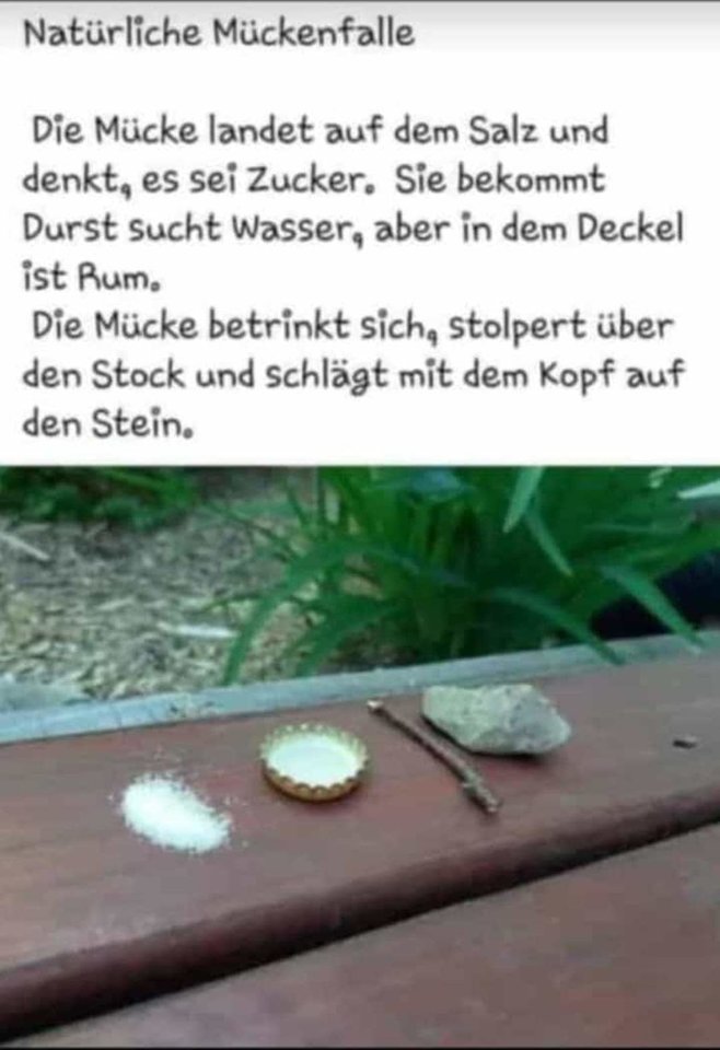 FB_IMG_1624611510988.jpg