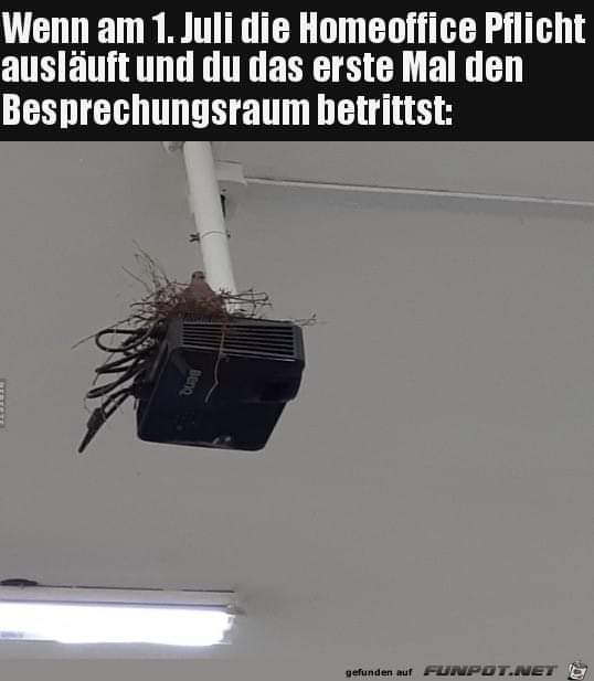 FB_IMG_1625314032998.jpg