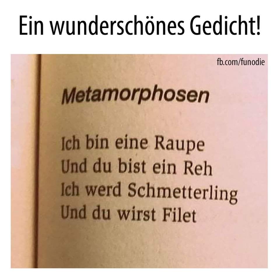 FB_IMG_1628179149036.jpg