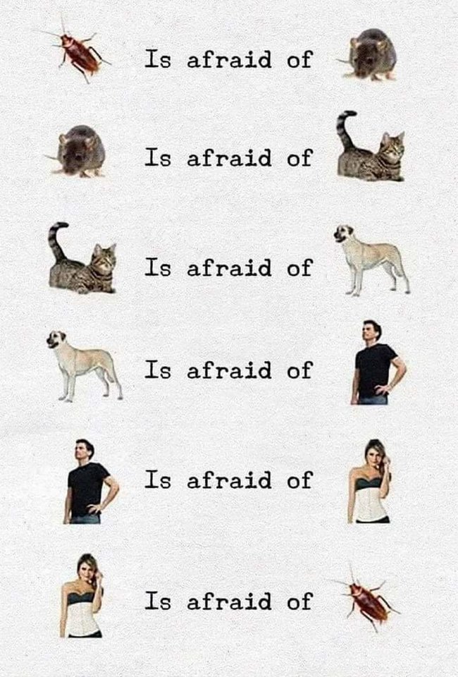 FB_IMG_1631440329855.jpg