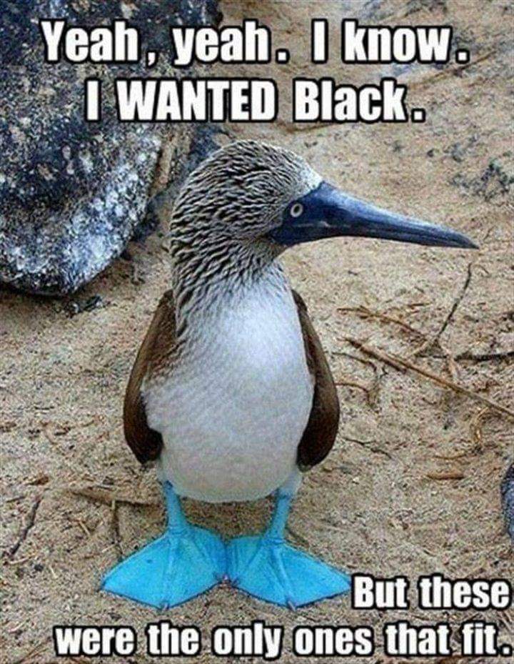 FB_IMG_1632575236458.jpg