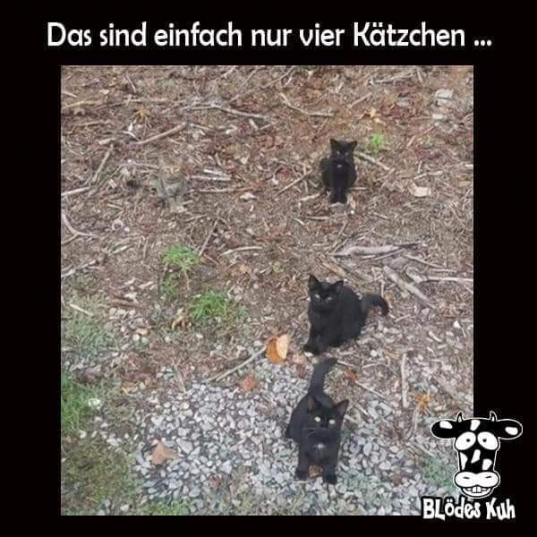 FB_IMG_1635317244812.jpg