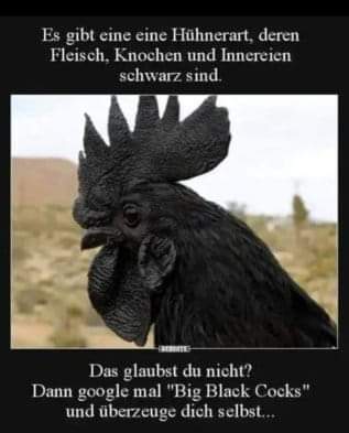 FB_IMG_1635394237113.jpg